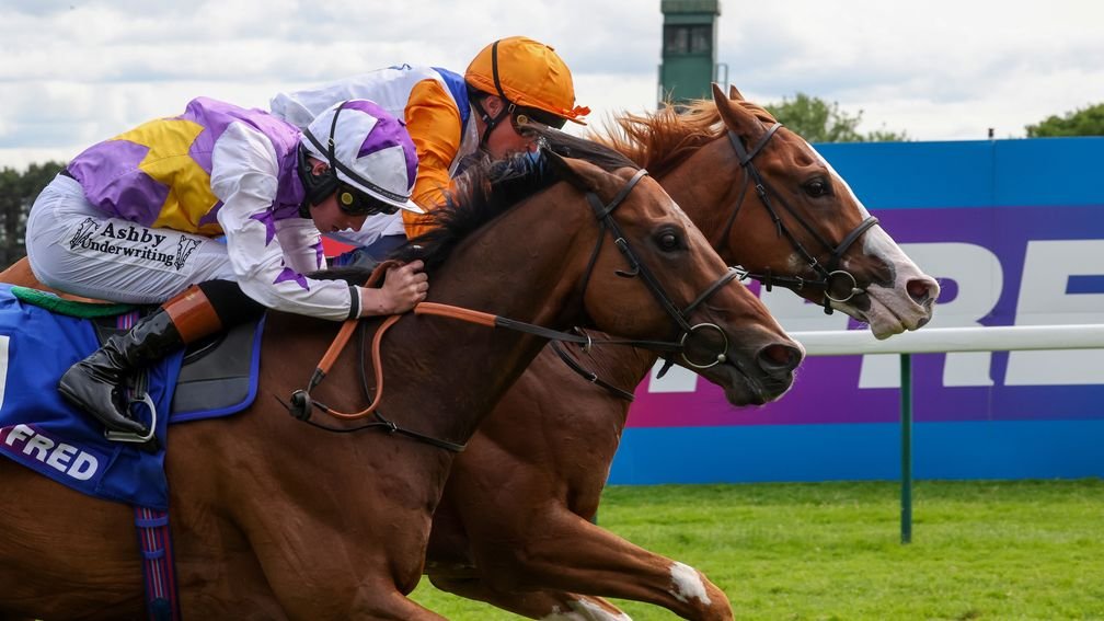 Ten Bob Tony Delivers Memorable Group Success in John of Gaunt Stakes