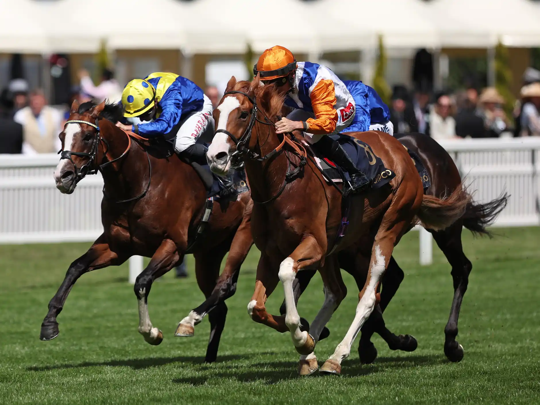 Royal Ascot history made in 50/1 shock winner as TBT Racing’s Ten Bob Tony pulls off 76-year first – 16 June 2026