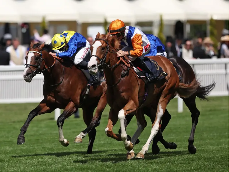 Royal Ascot history made in 50/1 shock winner as TBT Racing’s Ten Bob Tony pulls off 76-year first – 16 June 2026